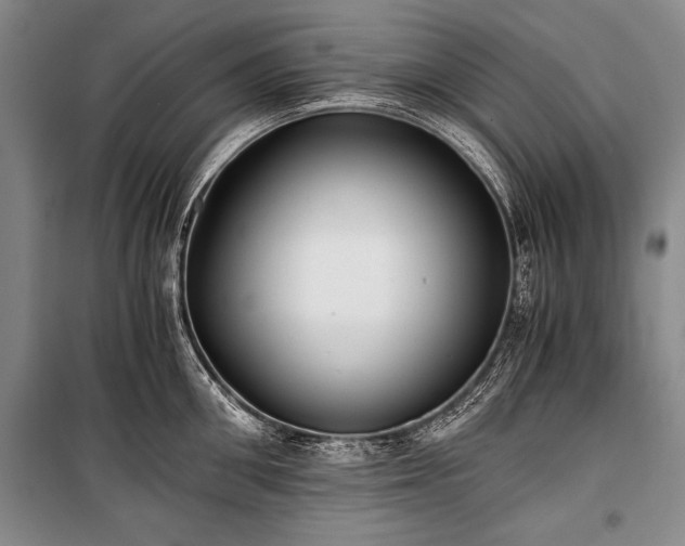 X0000100930906200807011218