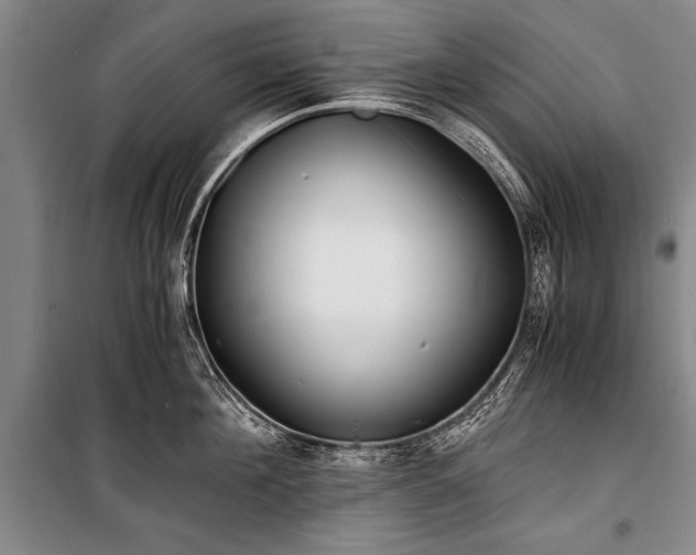 X0000100930908200807011218