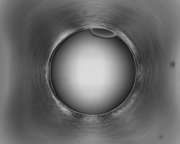 X0000100930909200807011218