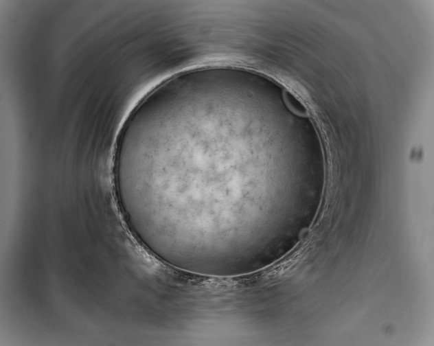 X0000100930912200807011218