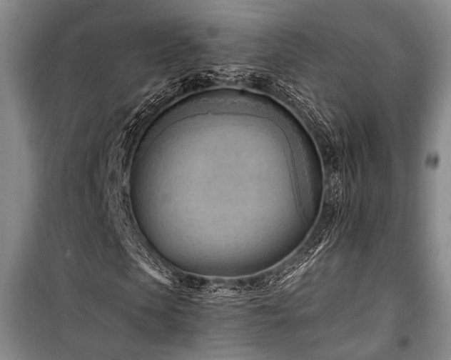 X0000100930913200807011218