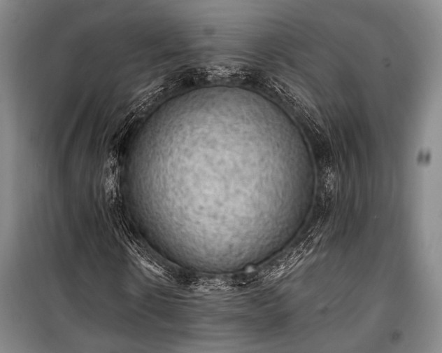 X0000100930914200807011218