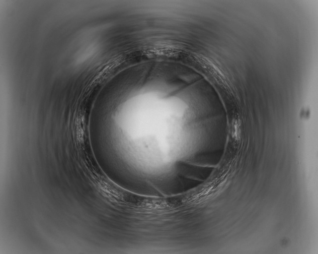 X0000100930915200807011218