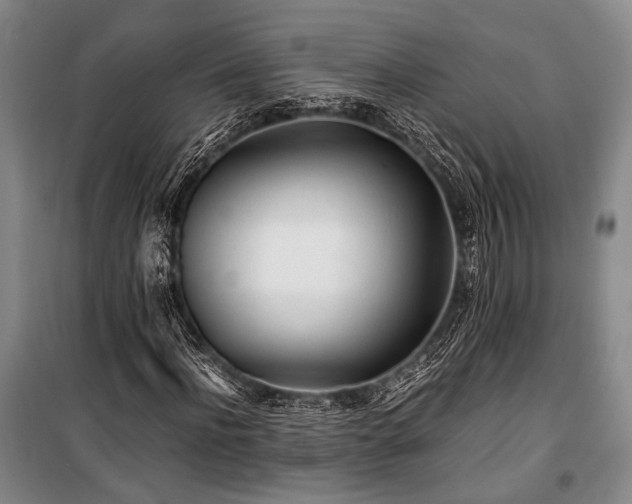 X0000100930916200807011218