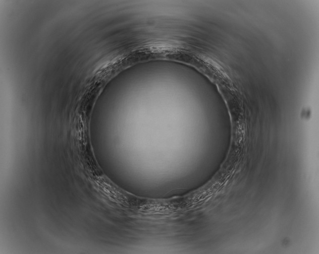 X0000100930917200807011218