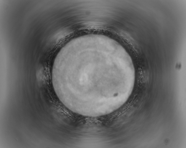 X0000100930918200807011218