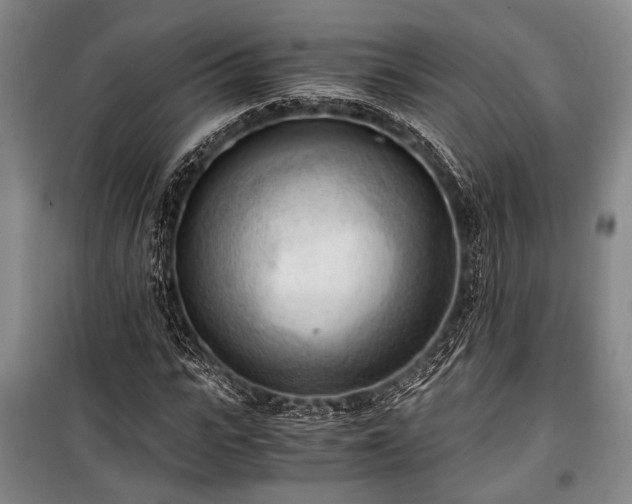 X0000100930919200807011218