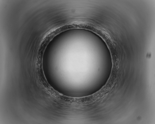 X0000100930920200807011218