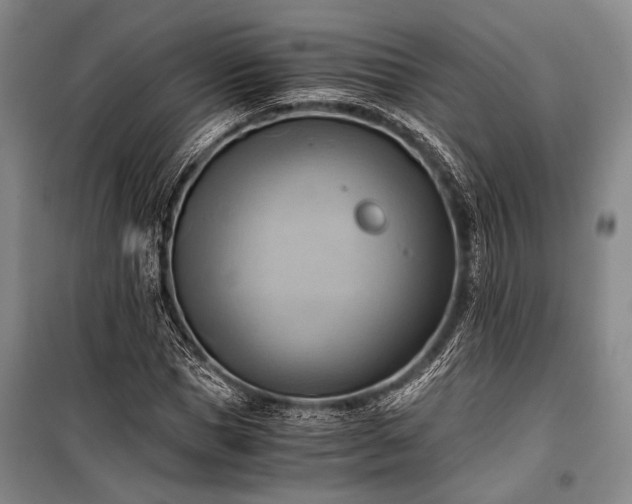 X0000100930921200807011218