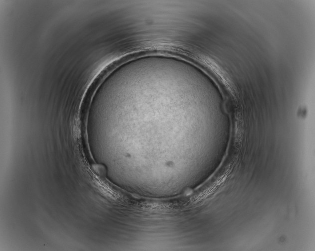 X0000100930924200807011218