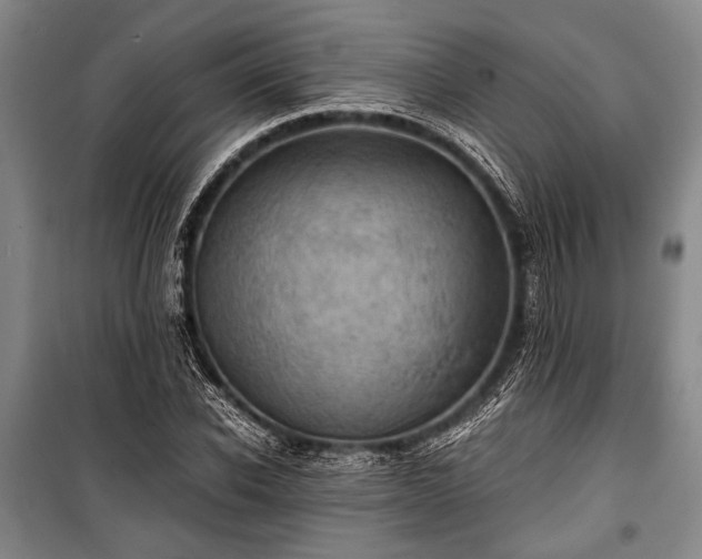 X0000100930926200807011218