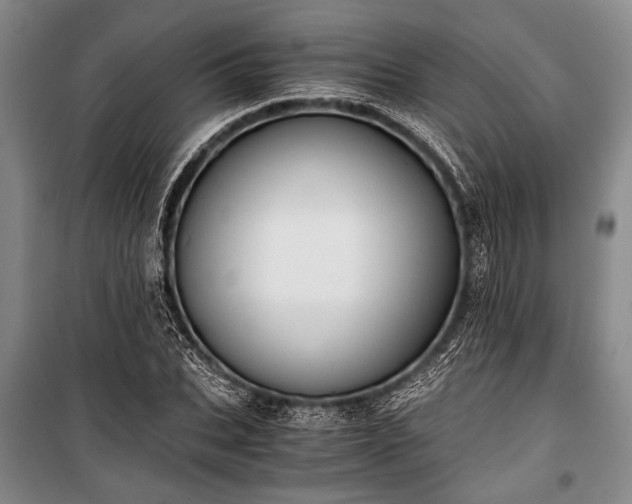 X0000100930927200807011218