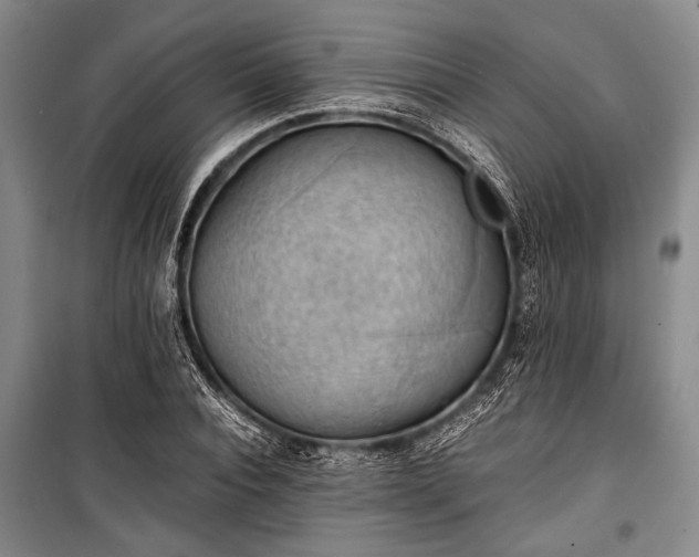 X0000100930928200807011218