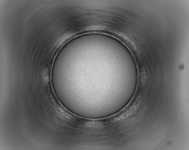 X0000100930929200807011218