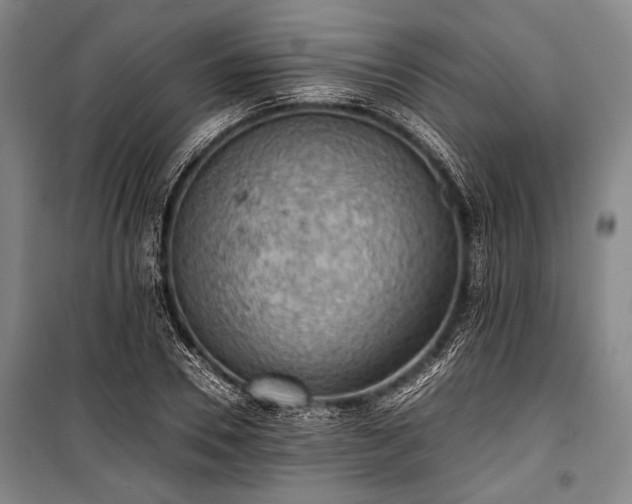 X0000100930930200807011218