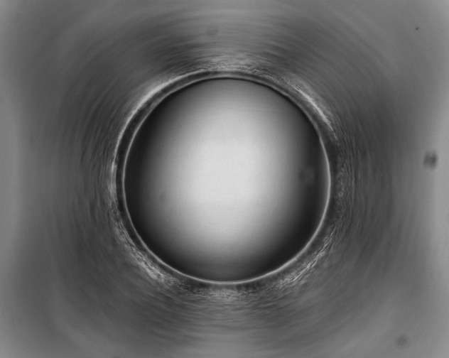 X0000100930932200807011218