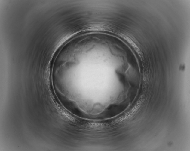 X0000100930933200807011218