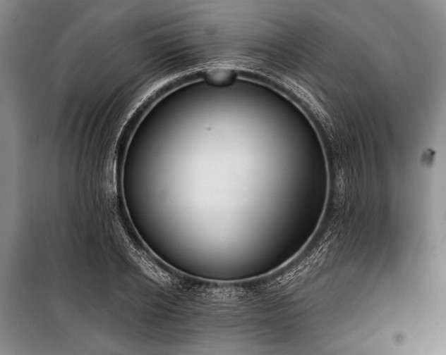 X0000100930934200807011218