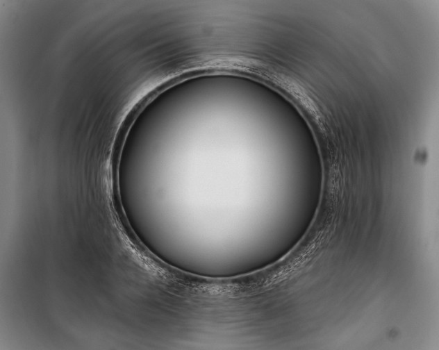 X0000100930936200807011218