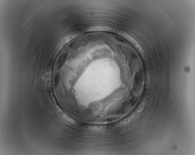 X0000100930937200807011218