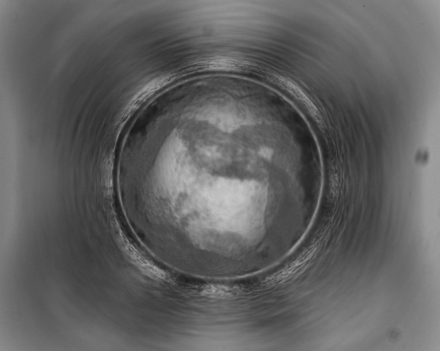 X0000100930938200807011218