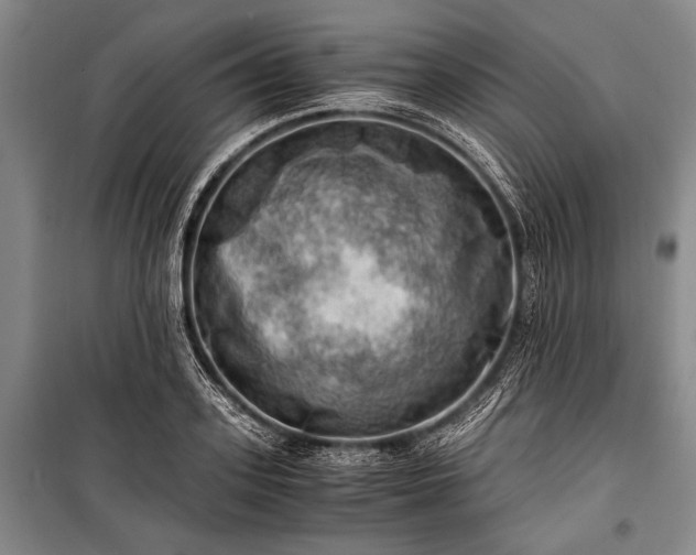 X0000100930939200807011218