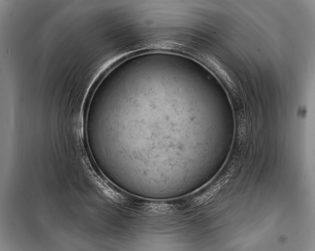 X0000100930940200807011218