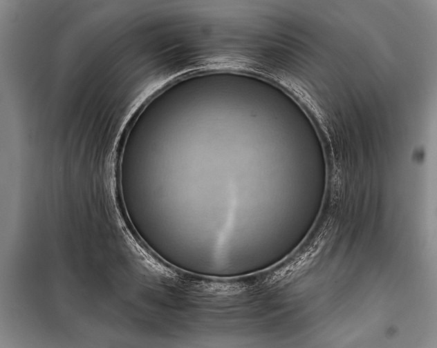 X0000100930941200807011218