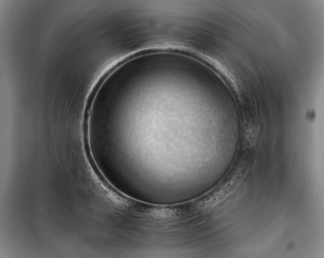 X0000100930943200807011218