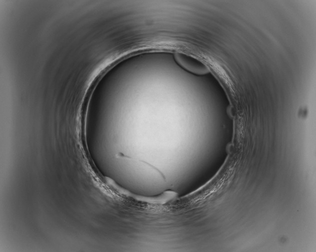 X0000100930944200807011218