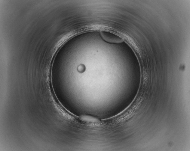 X0000100930946200807011218