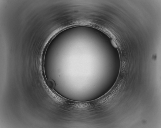 X0000100930947200807011218