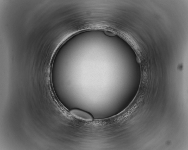 X0000100930948200807011218