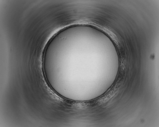 X0000100930950200807011218