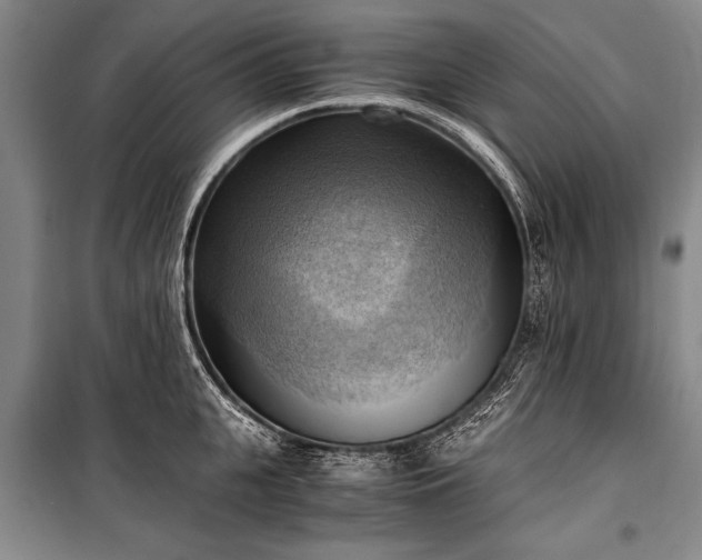 X0000100930951200807011218