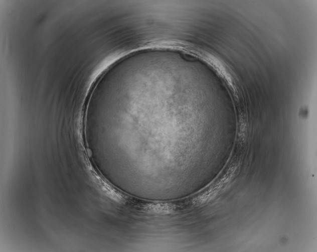 X0000100930952200807011218