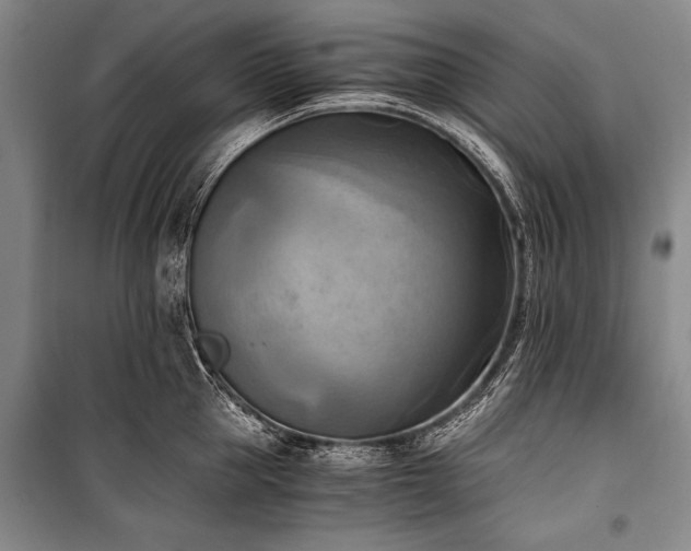 X0000100930953200807011218