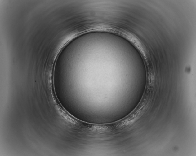 X0000100930954200807011218