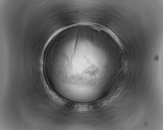 X0000100930955200807011218