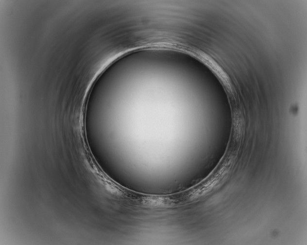 X0000100930956200807011218