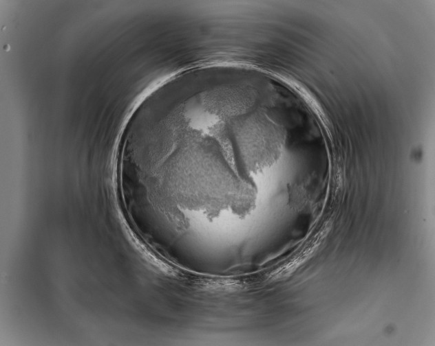 X0000100930957200807011218