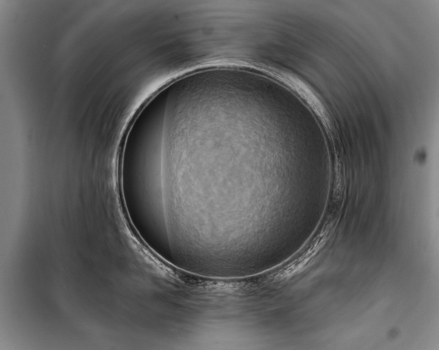 X0000100930958200807011218