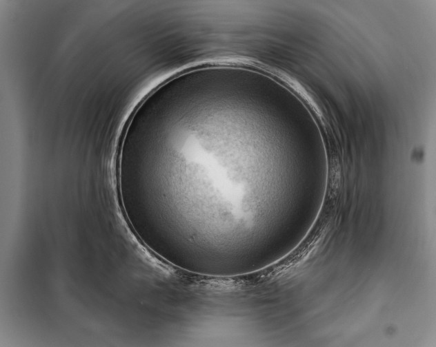 X0000100930959200807011218