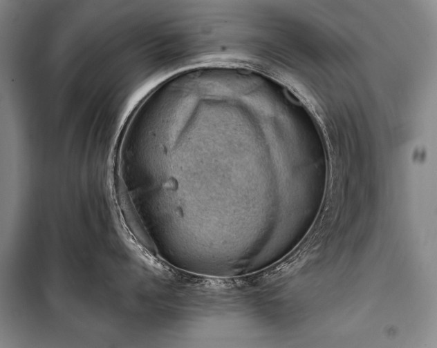 X0000100930960200807011218