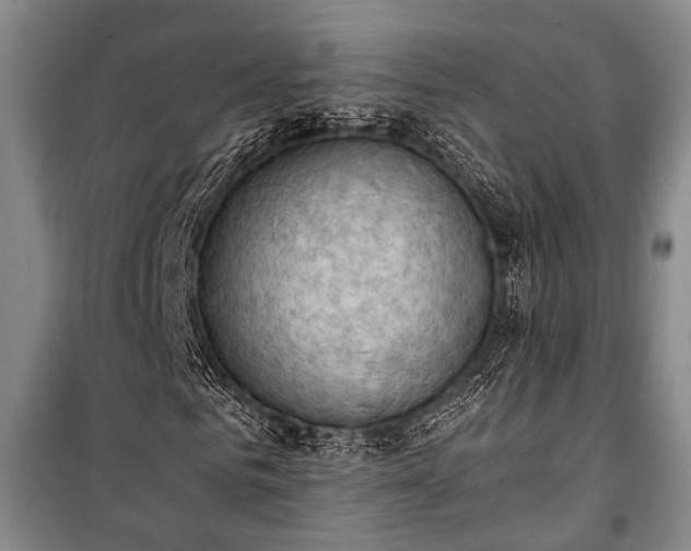 X0000100930961200807011218