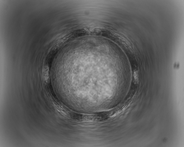 X0000100930963200807011218