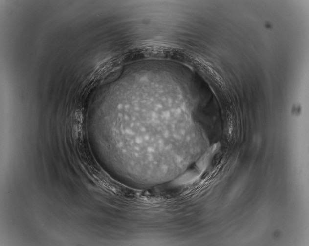 X0000100930964200807011218