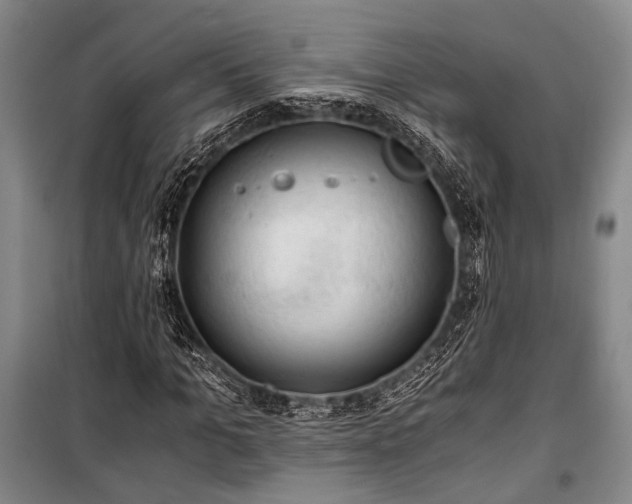 X0000100930965200807011217