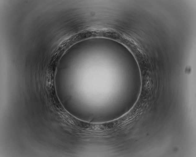 X0000100930966200807011217