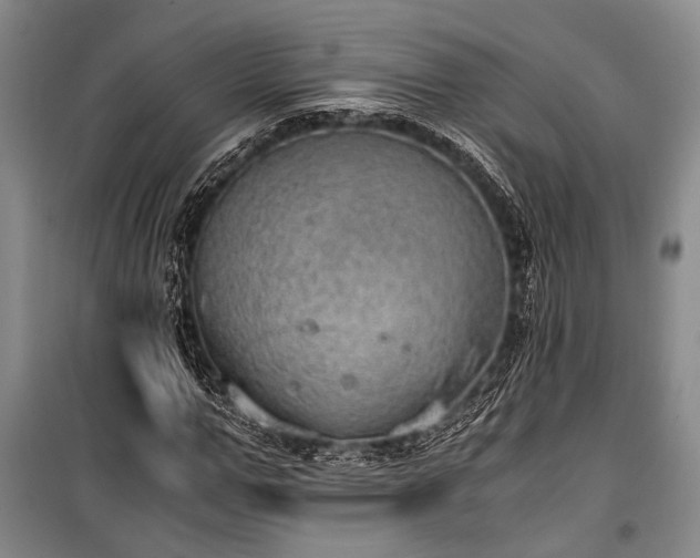 X0000100930967200807011217